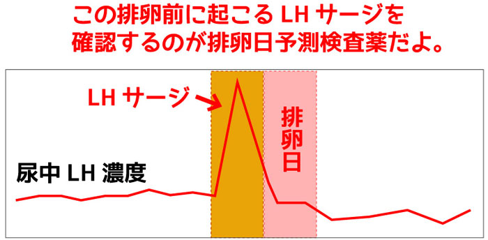 ゼリー ジェル で女の子の産み分けに成功した体験談 やり方とコツを紹介 ぷち選 日常の少しの選択で人生は出来ている