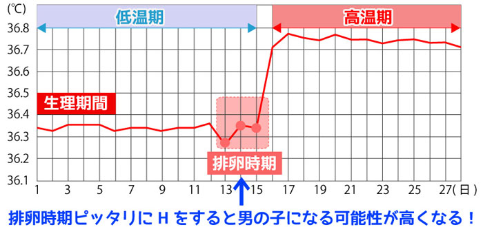基礎体温グラフ男の子