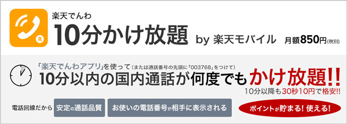 10分以内電話かけ放題オプション