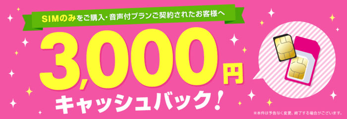 3000円キャッシュバック