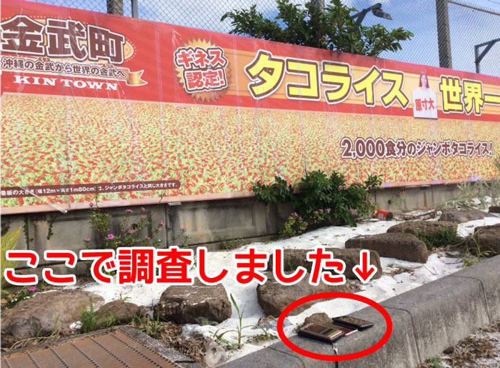 金武町入口タコライスの看板