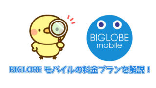 BIGLOBEモバイルの料金プランを解説