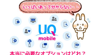 UQモバイルの必要なオプションはどれ