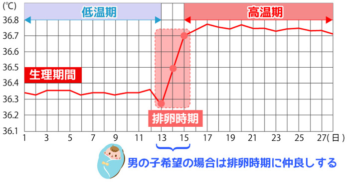 男の子の産み分けは禁欲する事 期間は4 5日程度で成功率がアップ ぷちせん