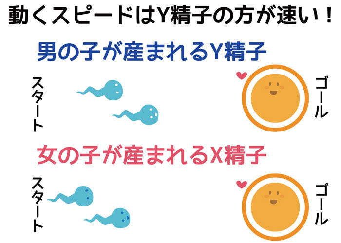 産み分けで旦那側がやる事 男の子 女の子編で紹介 不妊症への対策も紹介 ぷち選