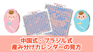 産み分けカレンダーの見方
