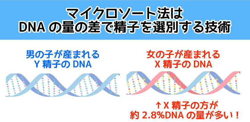 マイクロソート法はDNAの量の差で精子を識別する技術