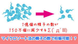 マイクロソート法の口コミ・評判レビューを集めてみた！【産み分け】 | ぷちせん