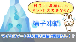 お酢洗浄 重曹洗浄で産み分けができる おすすめ出来ない理由5つ ぷち選