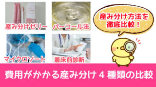 費用がかかる産み分け4種類の比較