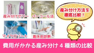 費用がかかる産み分け4種類の比較