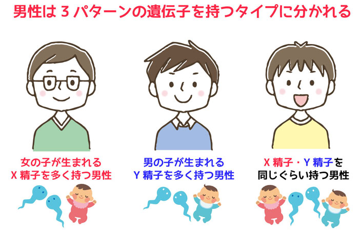 男の子 女の子が生まれやすい人の特徴や家系って本当にあった 研究論文あり ぷちせん